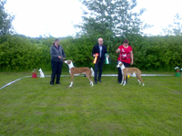 201206171673.jpg