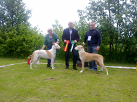 201206171681.jpg
