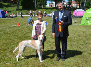20160612-SKK-Int-Vaenersborg-Domare-Gjoergy-Tesic-BIR-CERT-CACIB-Heron-And-Hounds-Waitin-To-Smile.jpg 20160612-SKK-Int-Vaenersborg-Domare-Gjoergy-Tesic-BIR-CERT-CACIB-Heron-And-Hounds-Waitin-To-Smile.jpg