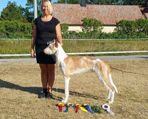 20160806-SKK-Nat-Gotland-Domare-BIR-CERT-Heron-And-Hounds-Waitin-To-Smile-Fotograf-Roger-.jpg 20160806-SKK-Nat-Gotland-Domare-BIR-CERT-Heron-And-Hounds-Waitin-To-Smile-Fotograf-Roger-.jpg