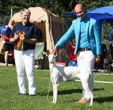 20160806-SvVk-Svenstavik-Domare-Jetta-Tschkkinen-Finland-BIR-CERT-NO-JV14-Yelloweyes-Puma-Fotograf-Yvonne-Wallin-.jpg 20160806-SvVk-Svenstavik-Domare-Jetta-Tschkkinen-Finland-BIR-CERT-NO-JV14-Yelloweyes-Puma-Fotograf-Yvonne-Wallin-.jpg
