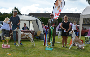 20160820-Norska-Podencoklubben-Gjerdrum-Domare-Knut-Blutcher-BIR-straevhaar-Kalo-Skilos-A-Dozen-Cymbline-Roses-BIM-straevhaar-CERT-CHAMPIONAT-Heron-And-Hounds-Waitin-To-Smile-Foto-Kennel-Chiron.jpg 20160820-Norska-Podencoklubben-Gjerdrum-Domare-Knut-Blutcher-BIR-straevhaar-Kalo-Skilos-A-Dozen-Cymbline-Roses-BIM-straevhaar-CERT-CHAMPIONAT-Heron-And-Hounds-Waitin-To-Smile-Foto-Kennel-Chiron.jpg