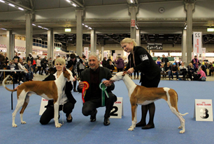 20161210-FKK-Helsinki-Winner-Domare-Griol-Michel-Frankrike-BIR-CACIB-Yellow-Eyes-Poison-Helsingfors-Vinnare-2016-BIM-CACIB-Cazaion-Chaneth-Helsingfors-Vinnare-2016.jpg 20161210-FKK-Helsinki-Winner-Domare-Griol-Michel-Frankrike-BIR-CACIB-Yellow-Eyes-Poison-Helsingfors-Vinnare-2016-BIM-CACIB-Cazaion-Chaneth-Helsingfors-Vinnare-2016.jpg