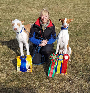 20180407-LC-Hovdala-Domare-Jonny-Hedberg-Mats-Carlsson-Thomas-Klokkerhaug-Geir-Hammer-1a-302p-CERT-CHAMPIONAT-Chirons-Im-A-Rocker-2a-294p-Heron-And-Hounds-Waitin-To-Smile-Foto-Camilla-Forsberg-2.jpg