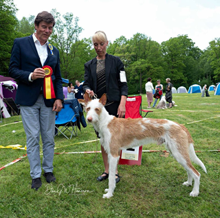 20180519-SvVk-Haessleholm-Domare-Wim-Wiersma-BIR-Heron-ANd-Hounds-Waitin-To-Smile-Fotograf-Dan-GW-Hansson.jpg