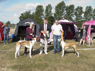 20180616-SvVk-Taanga-Hed-Domare-Vojtek-Vladislav-BIR-Chirons-Human-Touch-BIM-Chirons-Working-On-A-Dream-Fotograf-Kennel-Chiron.jpg