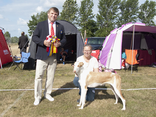 20180616-SvVk-Taanga-Hed-Domare-Vojtek-Vladislav-BIR-Junior-BIR-Cert-Kalo-Skilos-For-Whom-TheBell-Tolls-Fotograf-Bodil-Brehmer.jpg