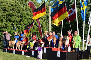 20180622-FCI-Coursing-European-Championship-Danmark-Norresundby-Tikar-Guldmedalj-Chirons-Working-On-A-Dream-6e-plats-tikar-Jakonas-It-Happened-In-Vegas-Fotograf-Sanna-Persson.jpg