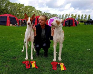 20180922-DKK-Ballerup-Domare-Paula-Rekiranta-Finland-BIR-KBHV-18-Heron-And-Hounds-Waitin-To-Smile-Fotograf-Roger-Nilsson.jpg
