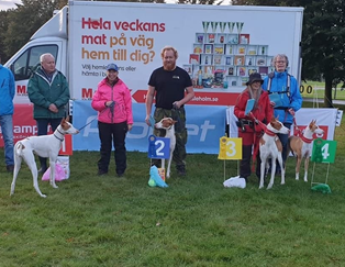 20190928-Lure-Coursing-Haessleholm-1a-Cert-p-Camabaros-Willing-To-Fight-2a-p-Chirons-Im-A-Rocker-3a-p-Chirons-Human-Touch-4a-p-Jakonas-It-Happened-In-Vegas-Fotograf.jpg