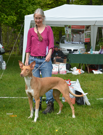 Baesta-Mix-2-2015-Smilla-o-Bodil-3.jpg