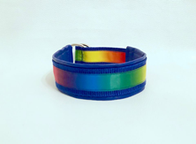 Klass-1-halsband-12.jpg