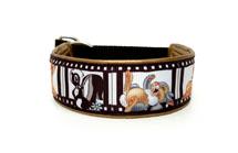 Klass-1-halsband-13.jpg