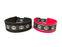 Klass-1-halsband-22.jpg
