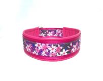 Klass-1-halsband-4.jpg