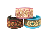 Klass-2-halsband-1.jpg