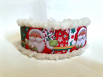 Klass-2-halsband-10.jpg