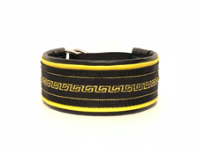 Klass-3-halsband-12.jpg