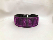 Klass-3-halsband-18.jpg