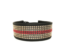 Klass-3-halsband-42.jpg