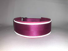 Klass-3-halsband-5.jpg