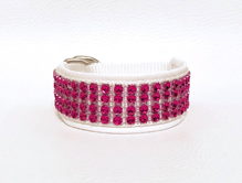 Klass-3-halsband-53.jpg