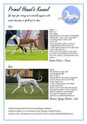 Primal-Hounds-ad-2020.pdfcorrect-(1)-002.jpg