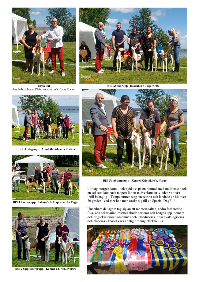 Rapportering-Domarberaettelse-och-resultat-SPIK-Special-utstaellning-2017-sid-5.png
