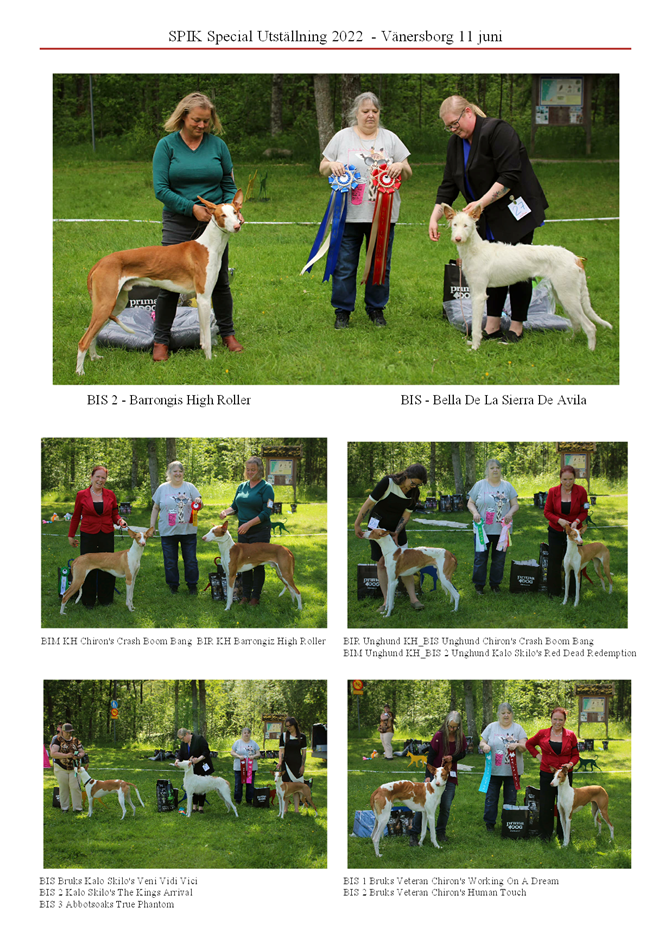 SPIK-Special-2022-Domare-Yvonne-Ljungkvist-Kennel-Alphaville-Sverige-_1.png