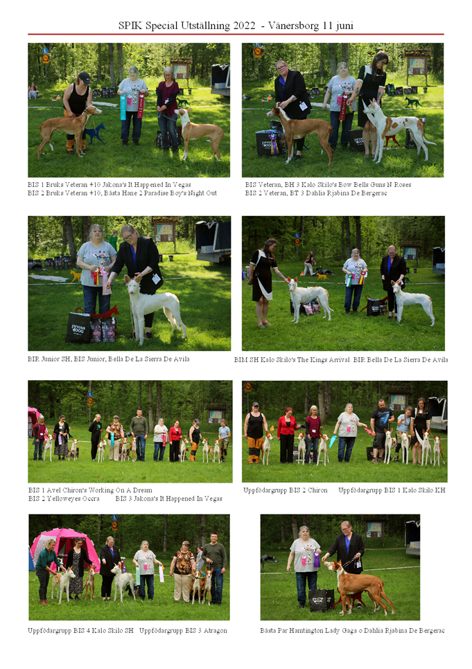 SPIK-Special-2022-Domare-Yvonne-Ljungkvist-Kennel-Alphaville-Sverige-_2.png