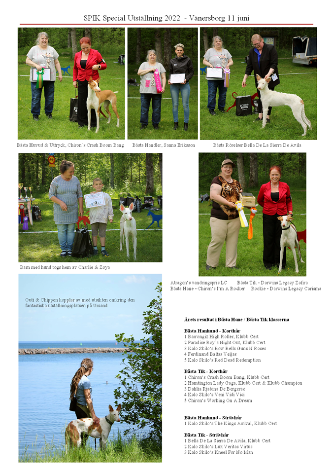 SPIK-Special-2022-Domare-Yvonne-Ljungkvist-Kennel-Alphaville-Sverige-_3.png
