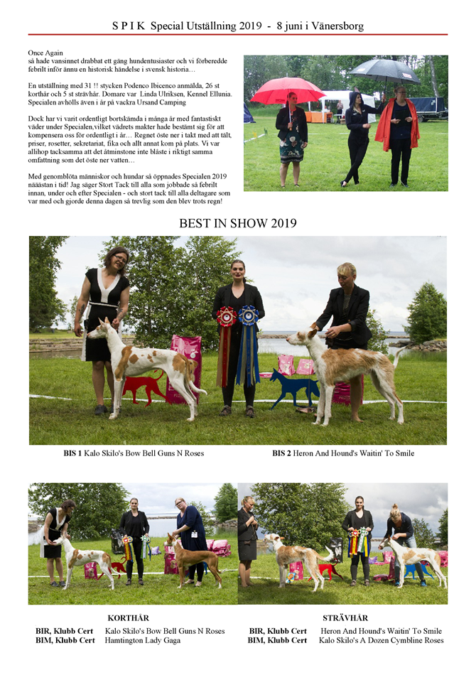 SPIK-Special-utstaellning-2019-Podenco-Ibicenco-1-(1).png