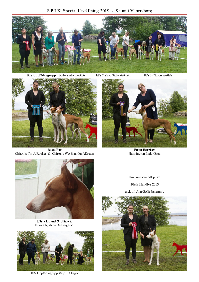 SPIK-Special-utstaellning-2019-Podenco-Ibicenco-3.png