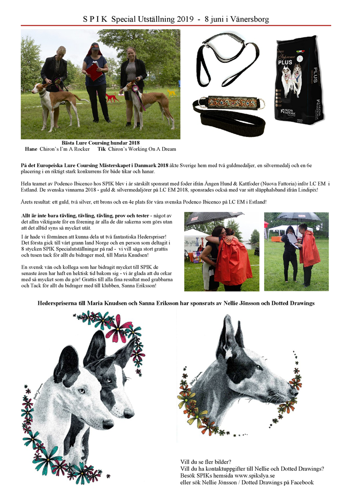 SPIK-Special-utstaellning-2019-Podenco-Ibicenco-5.png