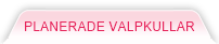 Planerade valpkullar