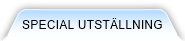Special Utst&auml;llning